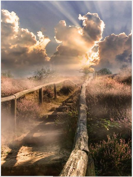 File:Misty stairs.jpg